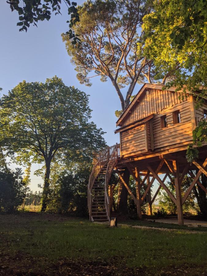 Château des Fousseries Condom Exterior foto